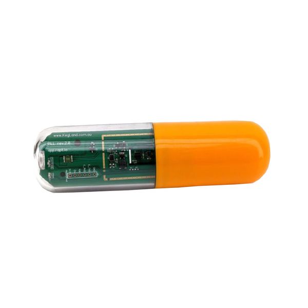 Цифровой гидрометр-термометр Rapt Pill KL20596 фото