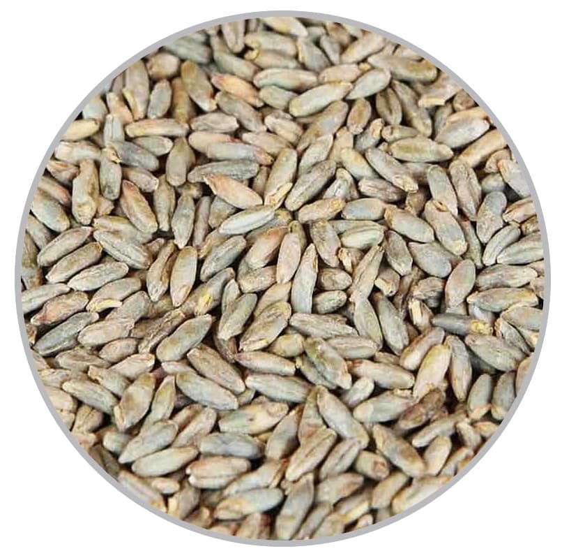 Пивоварний солод Rye (Château) - 25кг