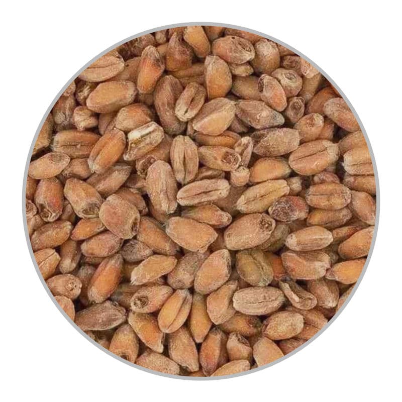 Пивоварний солод Oak Smoked Wheat (Weyermann) - 25кг