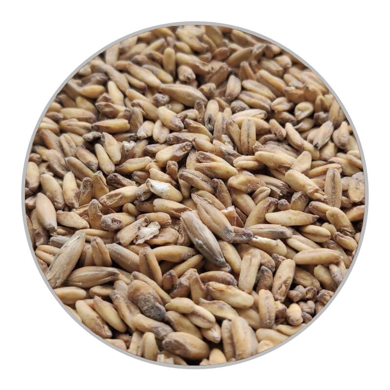 Пивоварний вівсяний солод Oat (Château) - 25кг