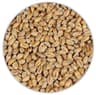 Солод Wheat Blanc (Château)