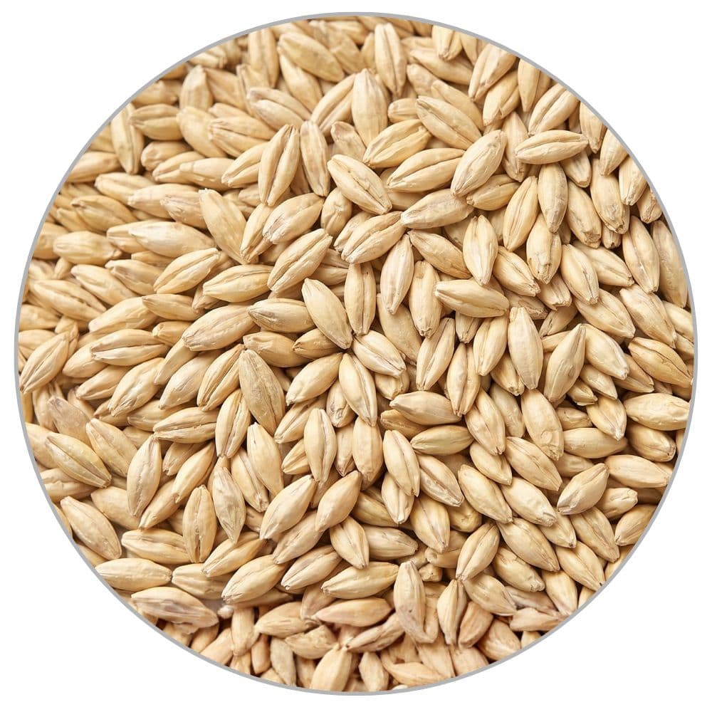 Пивоварний солод Pilsner Malt (Druzhina) 50кг
