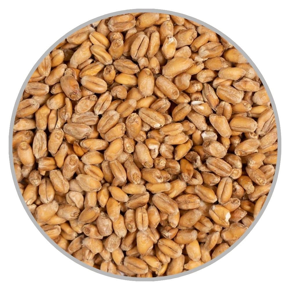 Пивоварний солод Wheat Smoked (Château) - 25кг