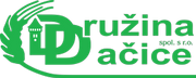 Druzhina